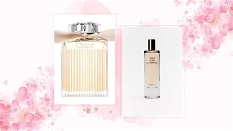 zara chloe perfume dupe|chloe signature dupe price.